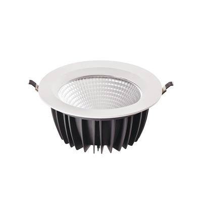 Efficient Bright Led Downlight For Supermarket