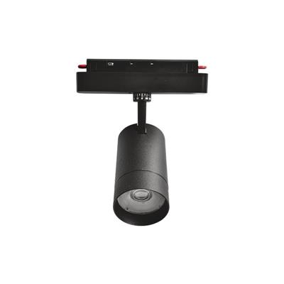 High color rendering index, restoring true color, magnetic guide light